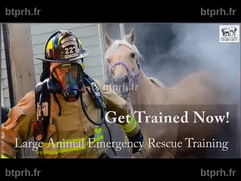 Les pompiers de JFRD se préparent aux urgences impliquant de grands animaux