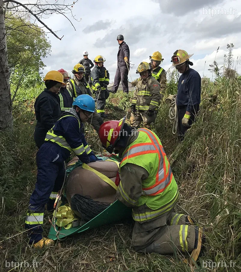 Large animal rescue and response training | AJEM News & views