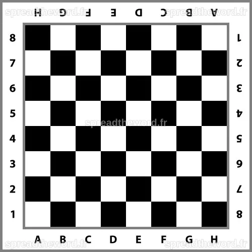 Chessboard background empty chess board Royalty Free Vector