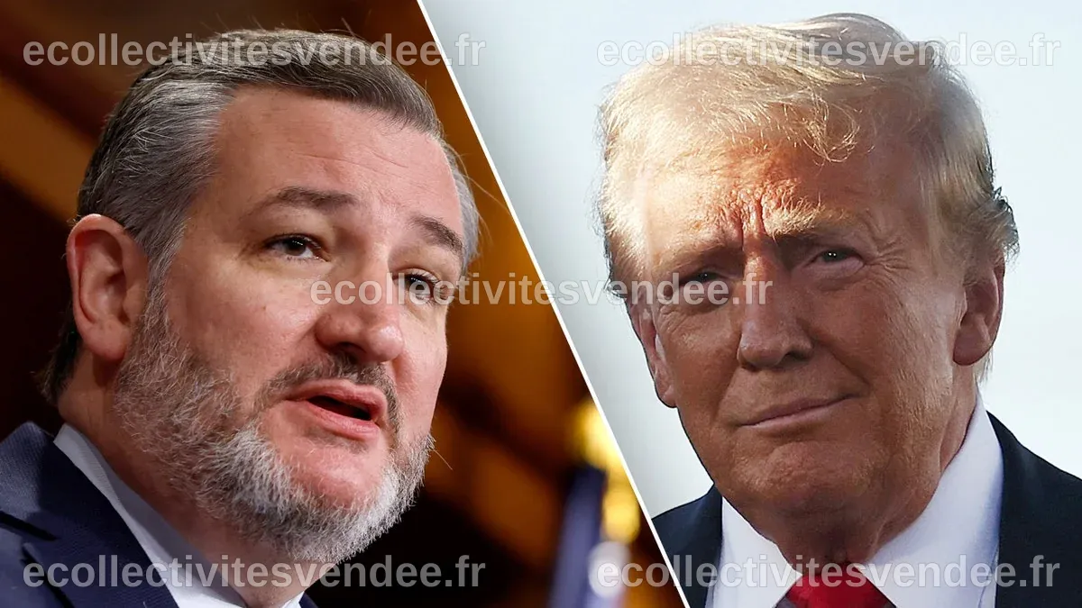 Ted Cruz dévoile un secret inavoué : Les comptes Trump sont des comptes de retraite personnels