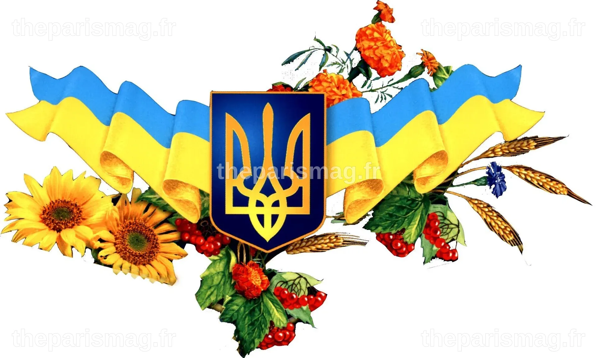Україна надзвичайна. Неймовірні факти про Україну, які мало хто знав ...