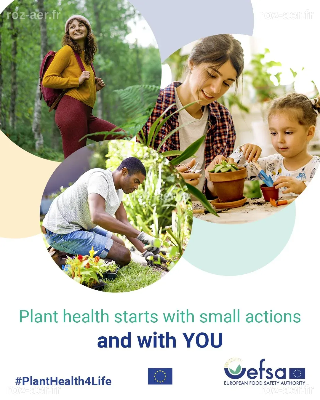 Santé des Plantes 4 Vie : Adoptez des Gestes Simples pour Protéger Vos Plantes