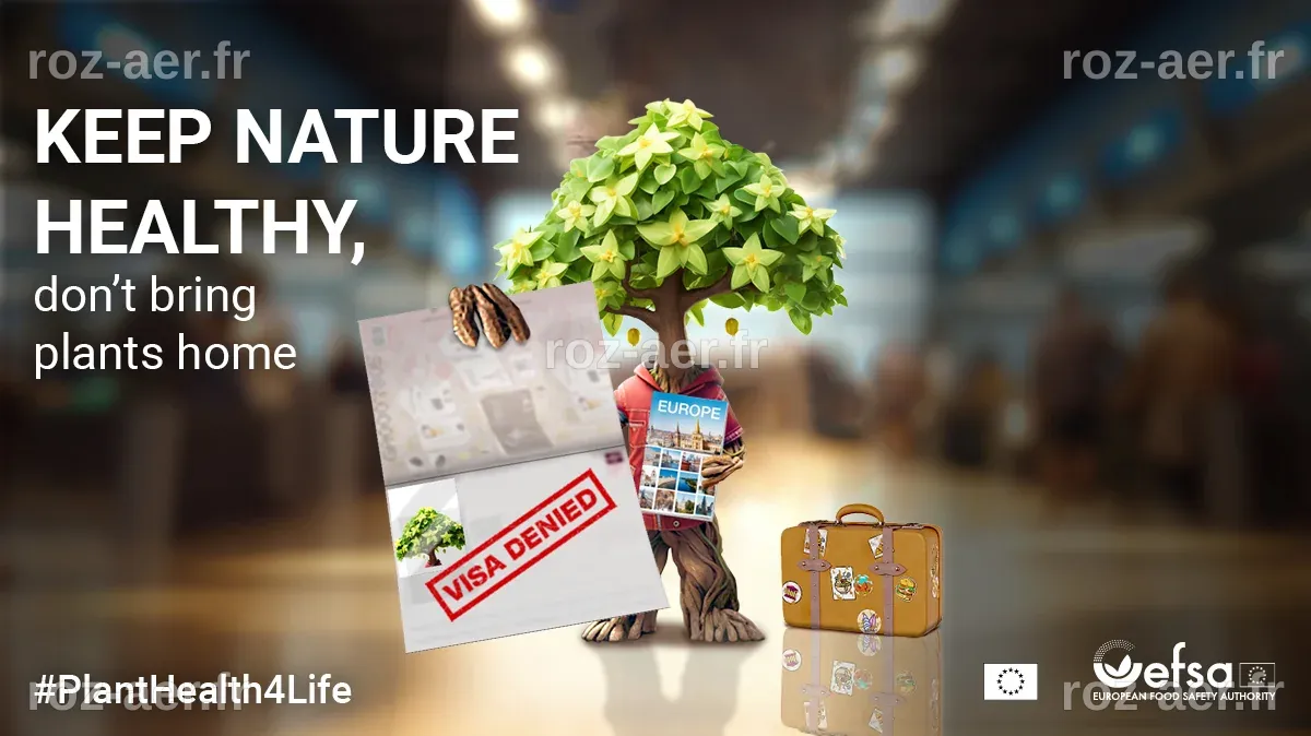 EFSA, European Commission and EU Member States launch #PlantHealth4Life ...