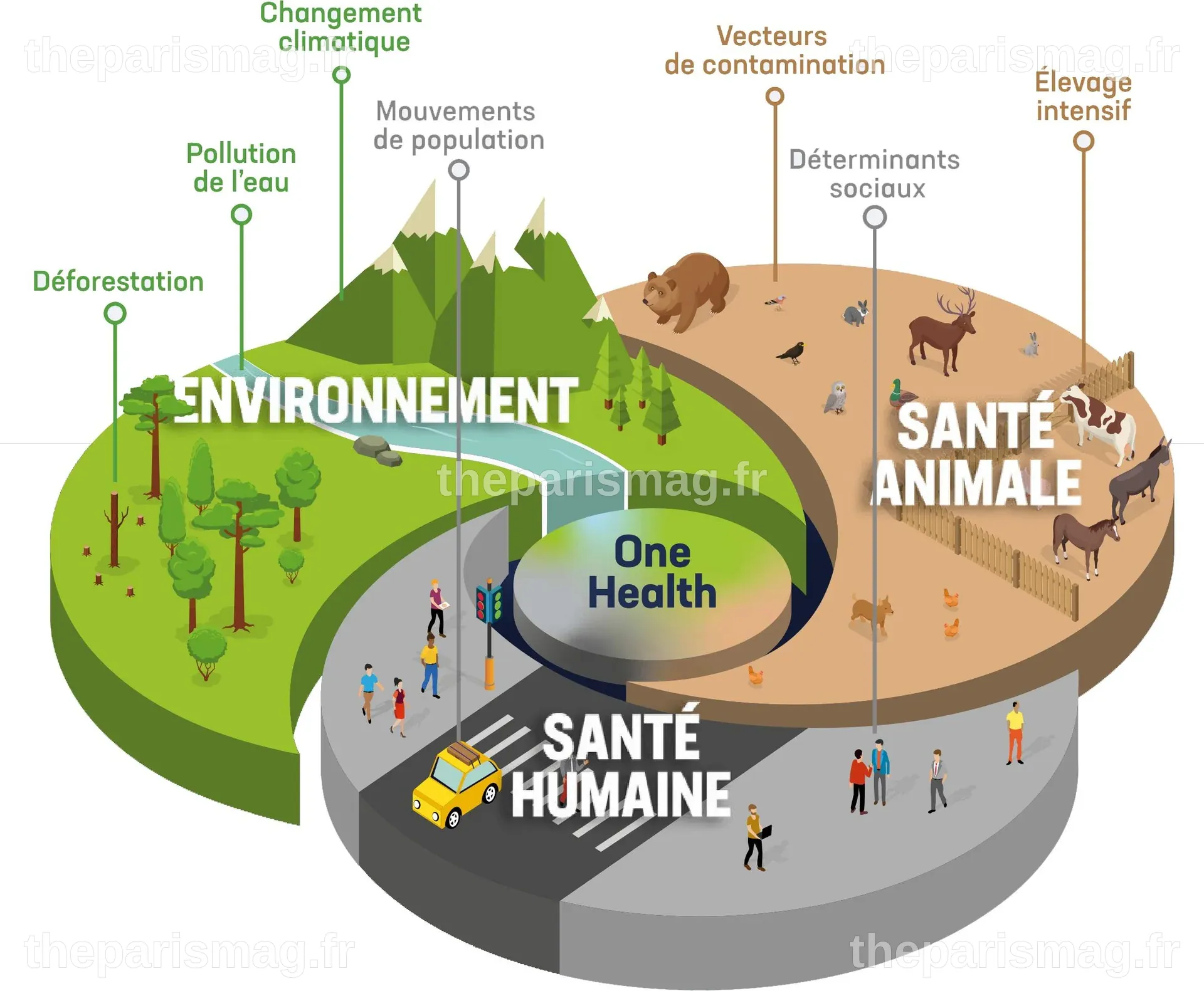 One health, une santé, des ambitions - Espace Mendès France
