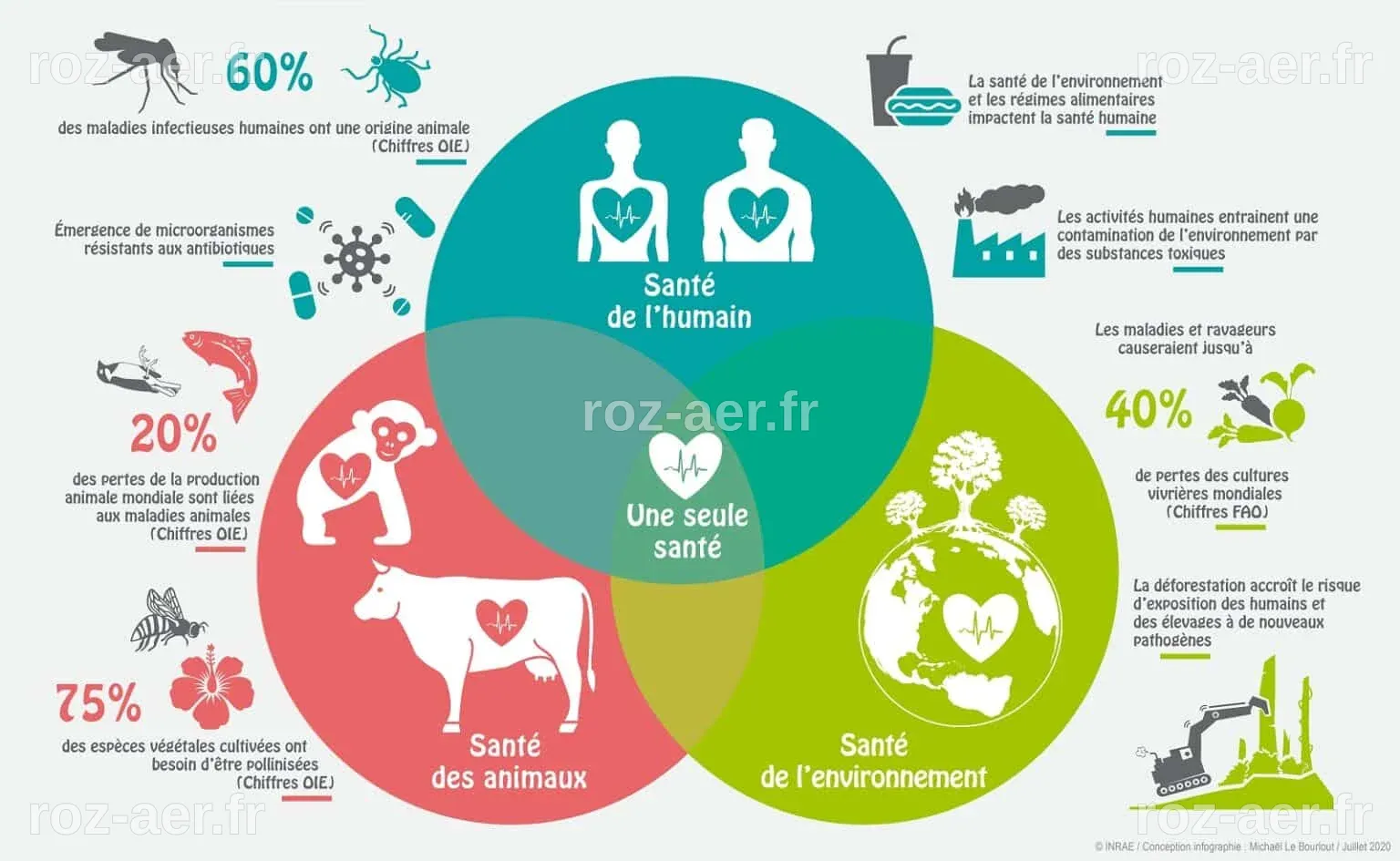 Sommet One Health : les paradoxes du leadership français mis en lumière