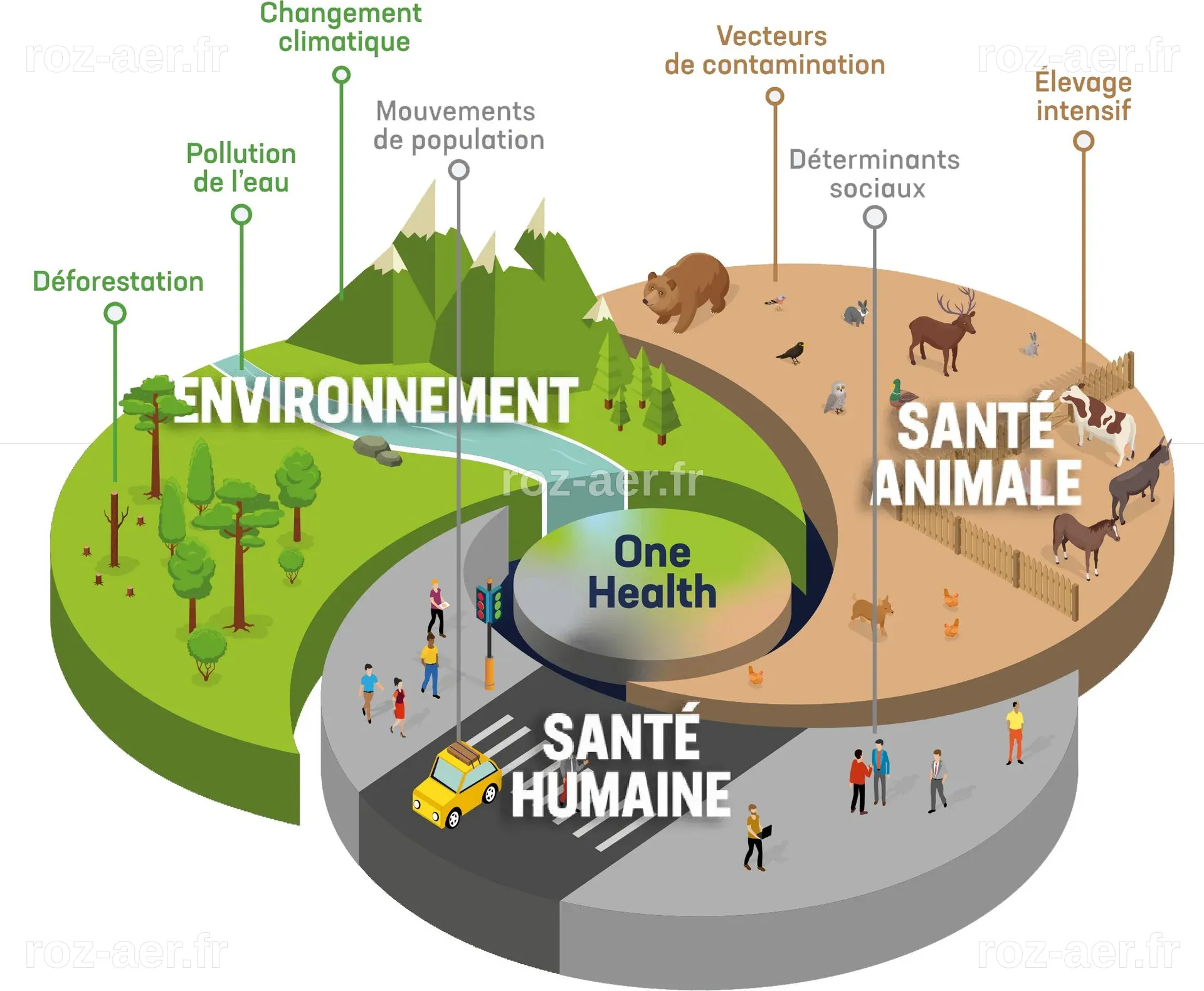 One health, une santé, des ambitions - Espace Mendès France