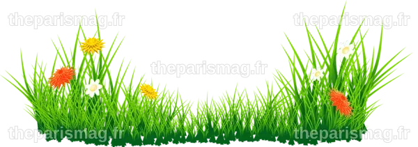 La Vie Privée de Florian Tardif : Enquête et Réflexions