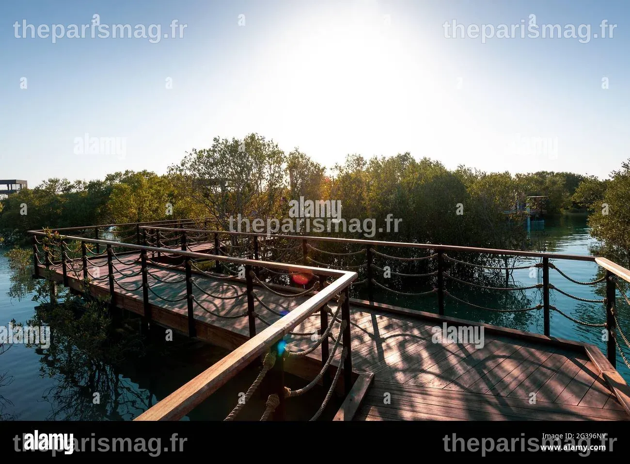 Parc de mangrove de jubail Banque de photographies et d’images à haute ...
