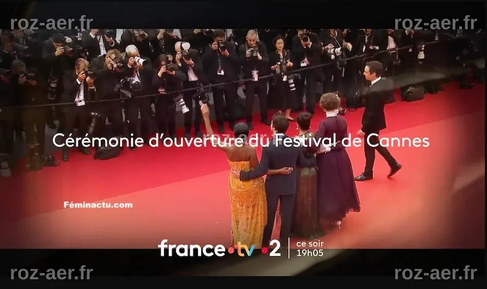 Audiences TV access du 13 mai 2025 : quel score pour la cérémonie d ...